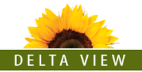 deltaview-logo